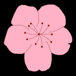 WWW,yyy20·COM网站APPAPP应用